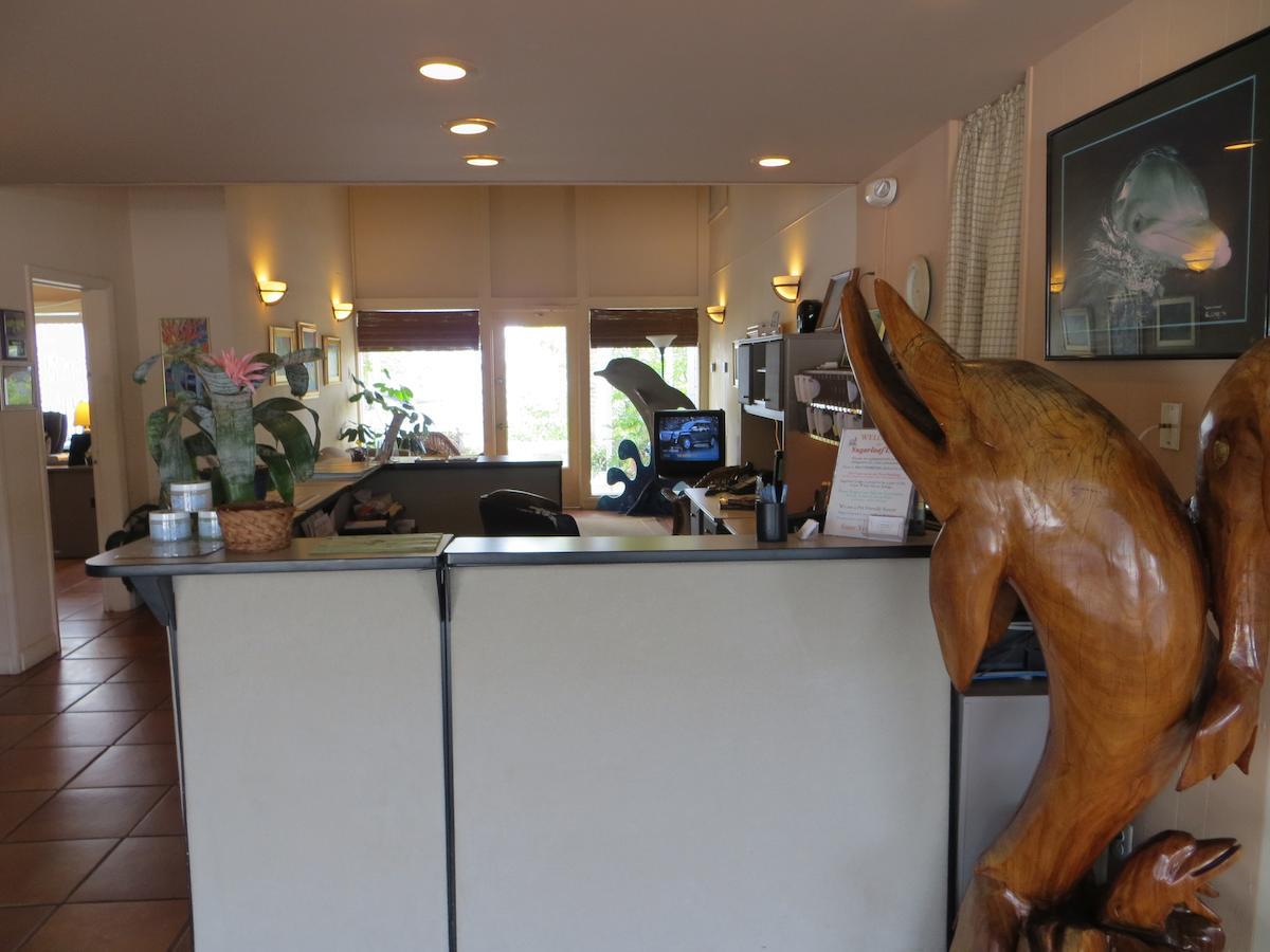 Sugarloaf Lodge Шугарлоуф Шорс Екстериор снимка
